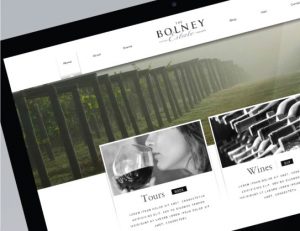 Bolney website screenshot