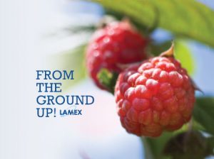 Lamex food brochure cover