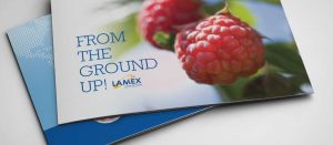 Lamex - From The Ground Up brochure cover