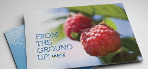 Lamex Foods brochure spread