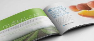 Lamex brochure inside spread