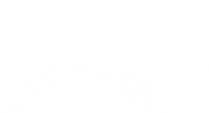 Visual Identity Symbol
